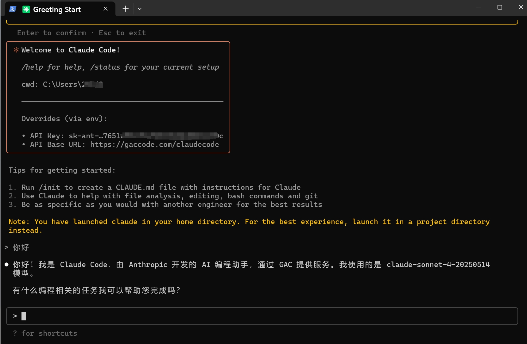 API 模式